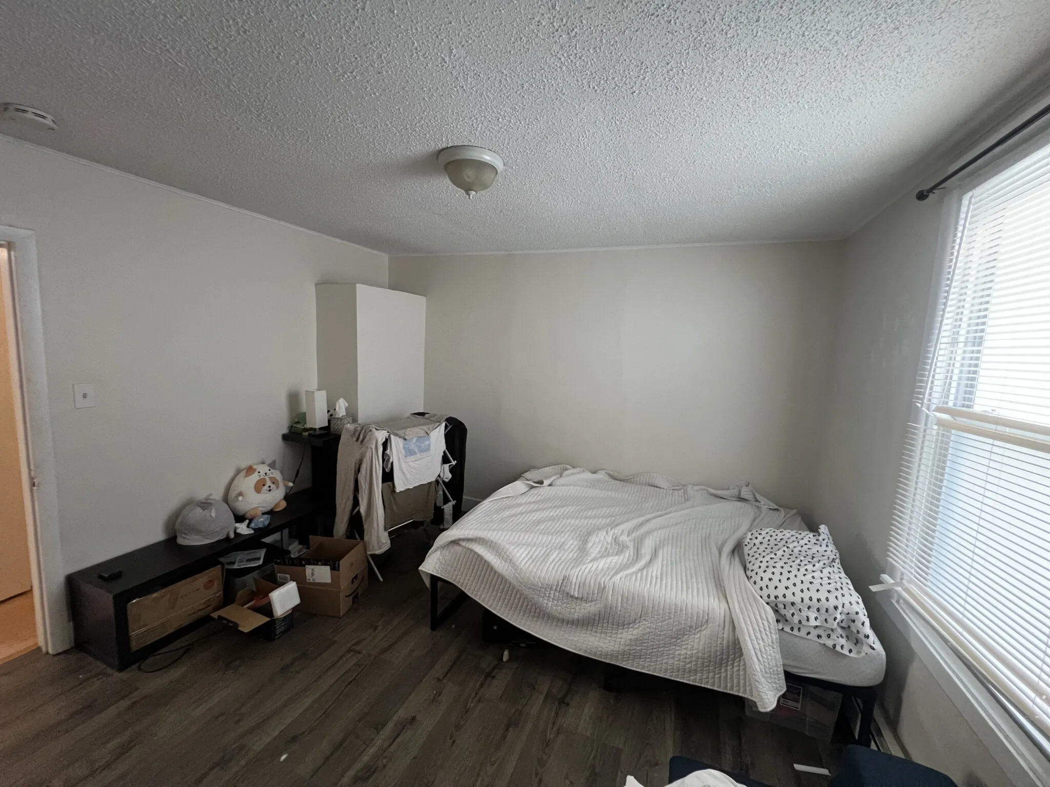 294 Prospect St, Wellington-Harrington