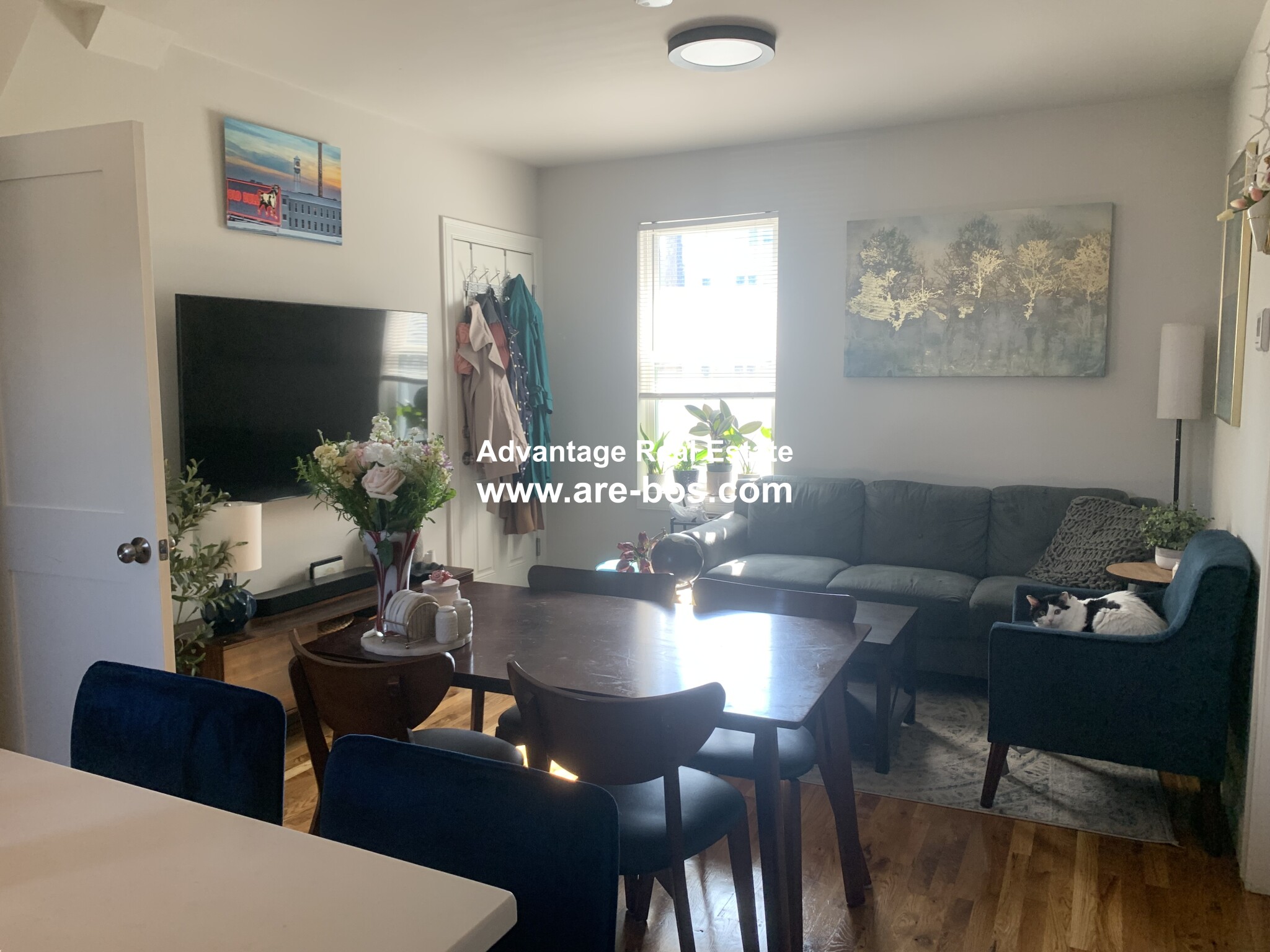 10 Harding St, Wellington-Harrington