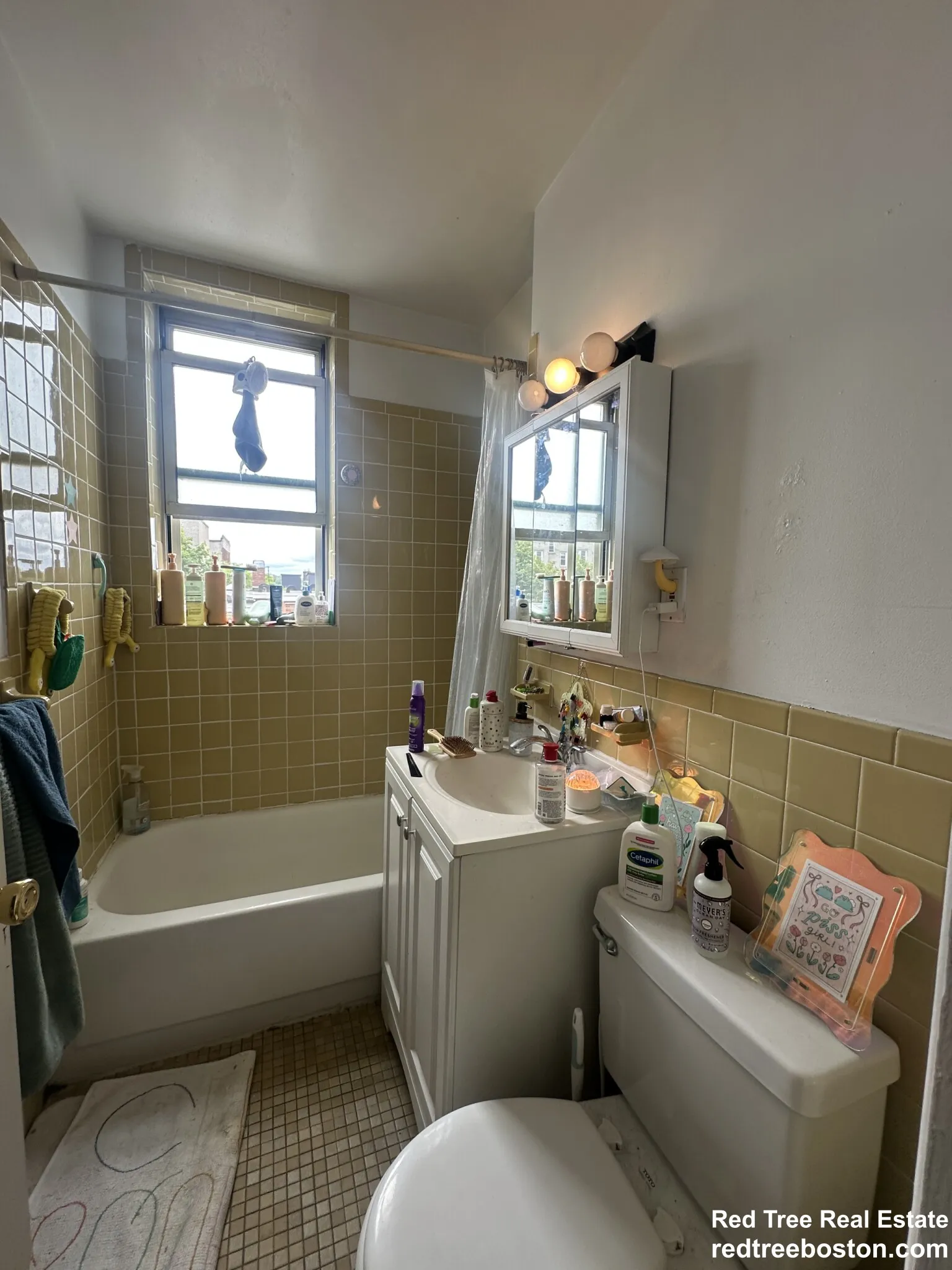 24 Colborne Rd, Brighton