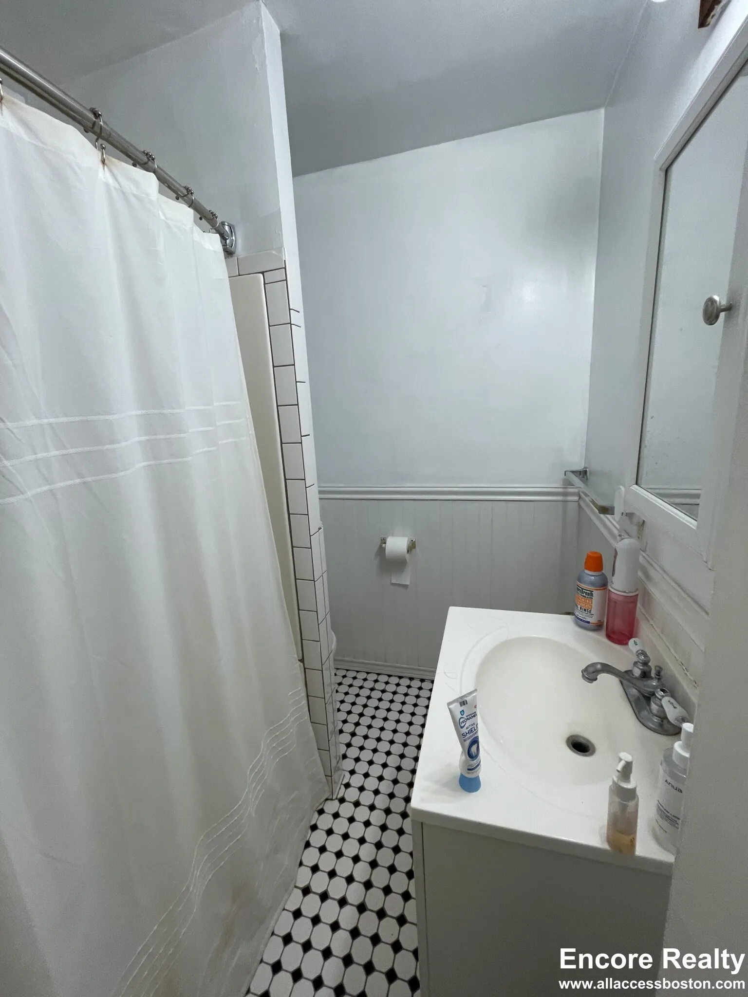 62 Egmont St, North Brookline