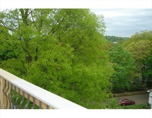 195 Forest, Arlington