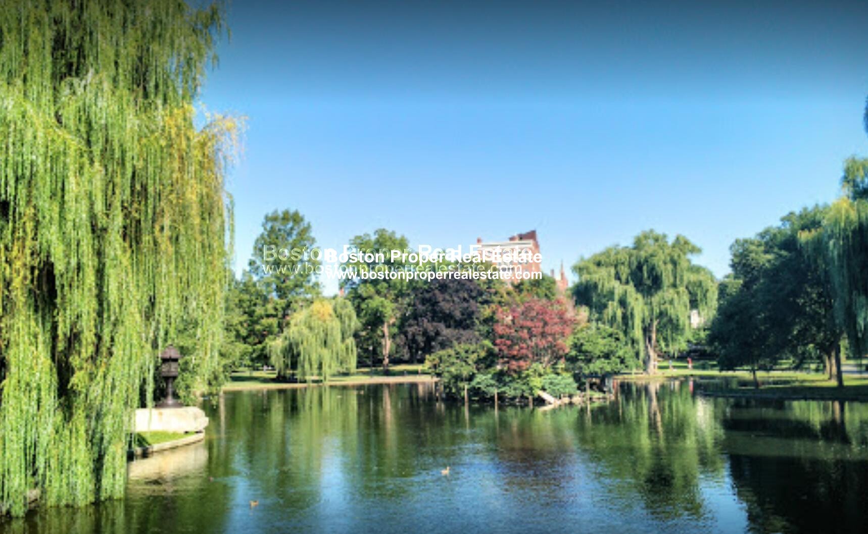 97 Myrtle St, Beacon Hill