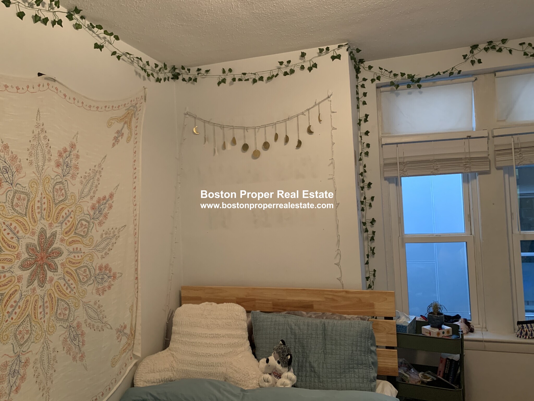 45 Westland Ave, Fenway