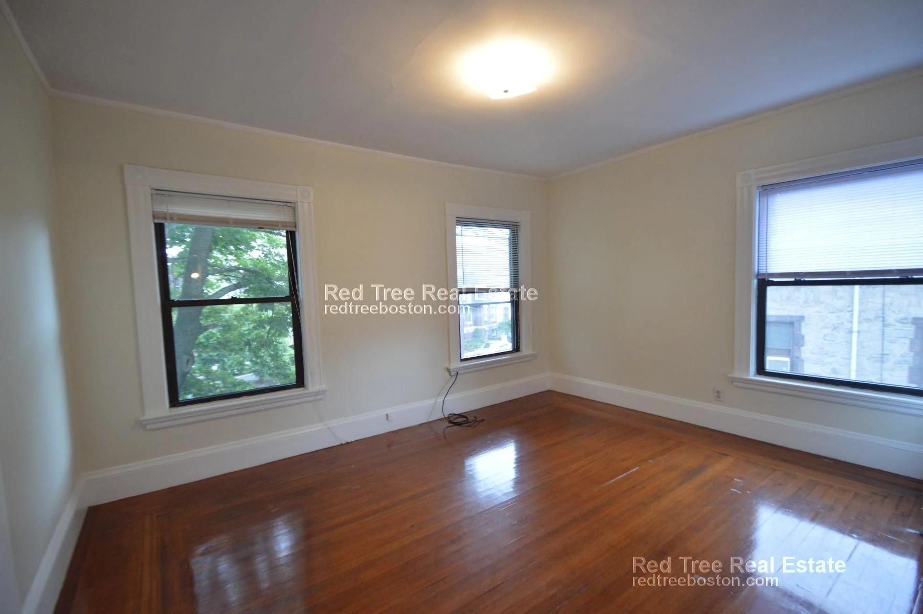 31 Quint Ave, Brighton