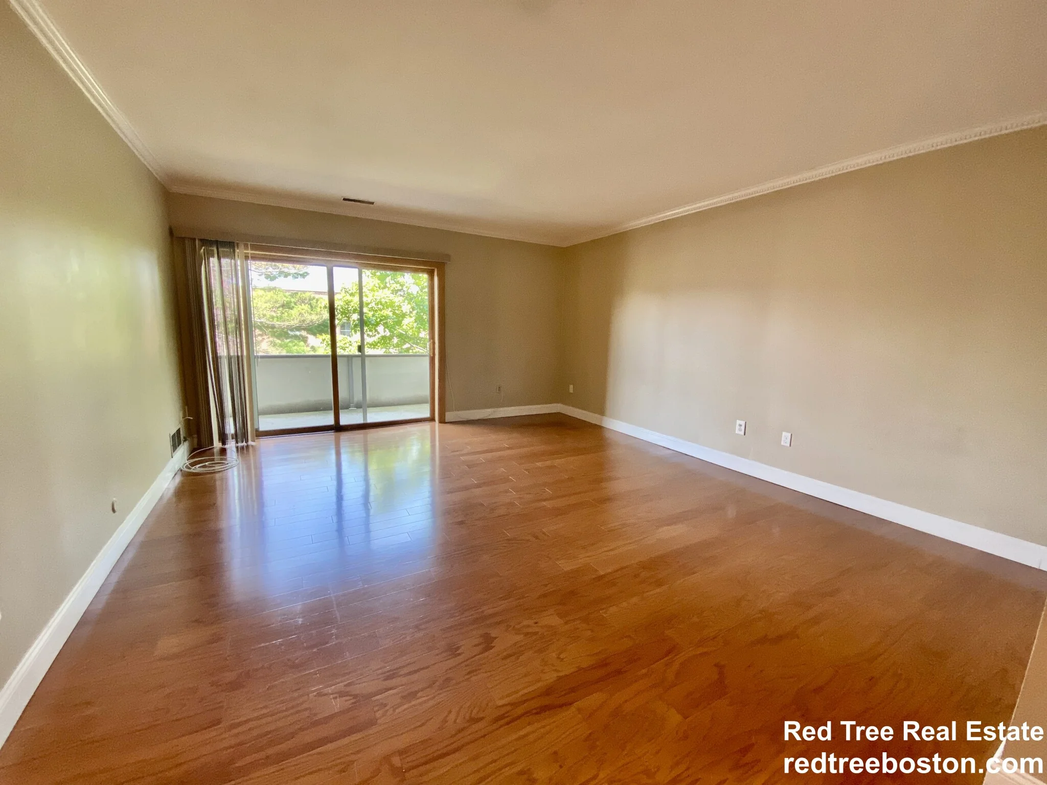 20 Stearns Rd, Coolidge Corner