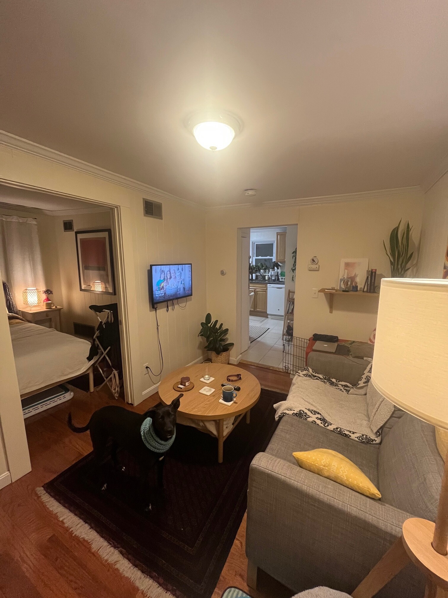 57 Cedar St, North Cambridge