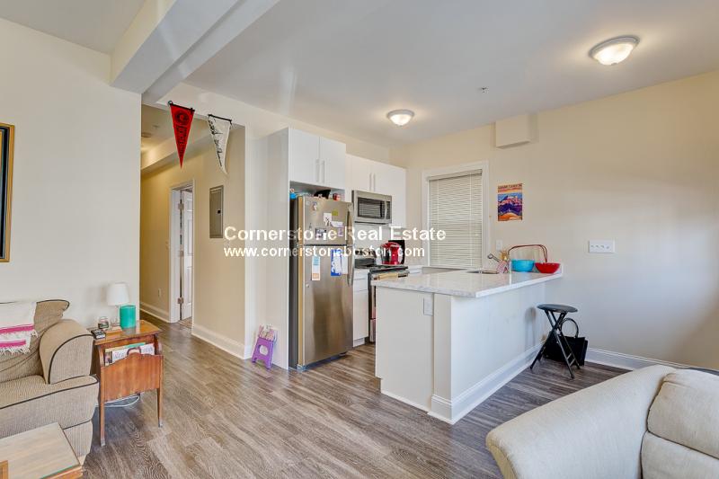 28-30 Hillside St, Mission Hill