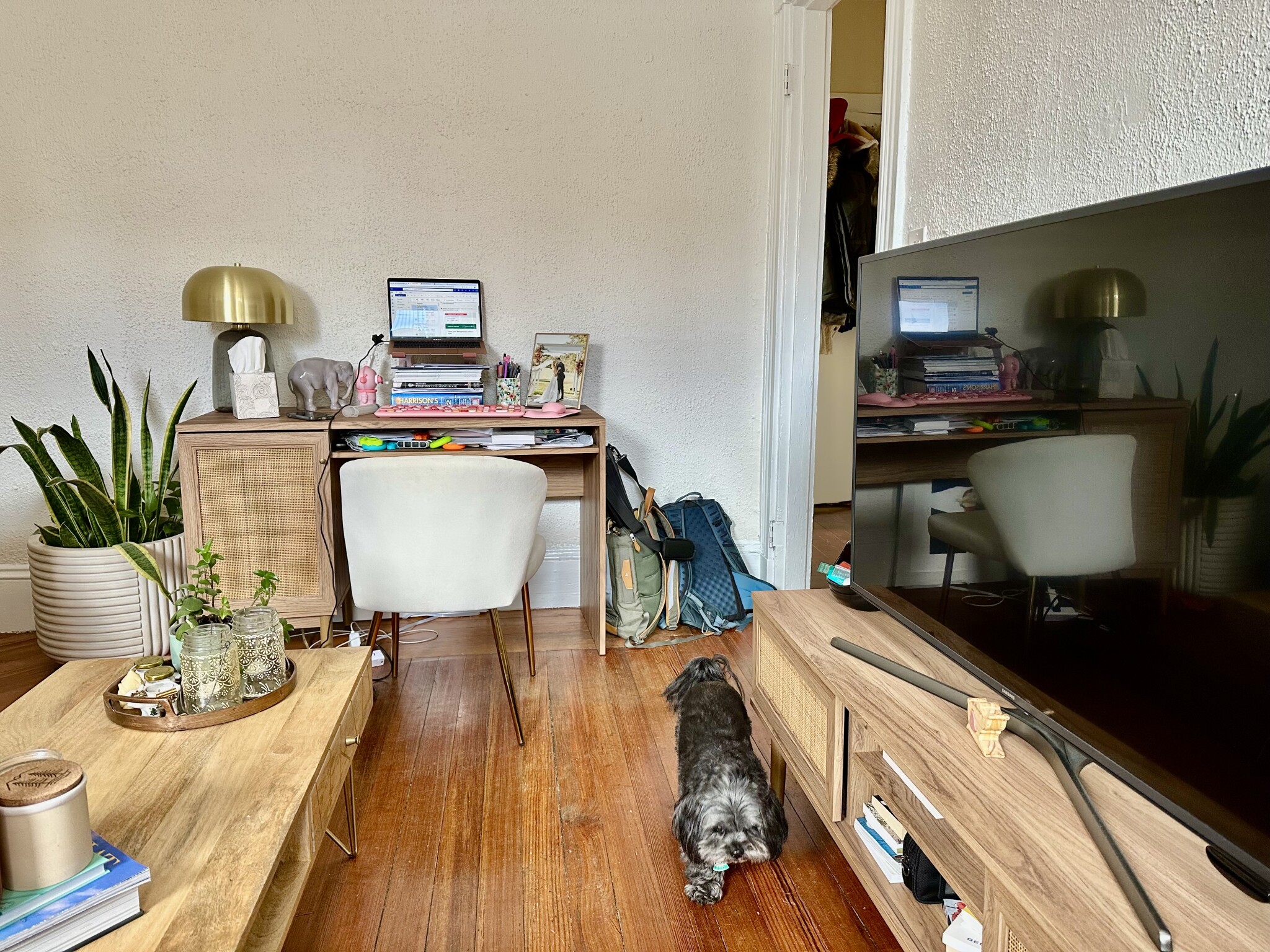 108 Myrtle St, Beacon Hill