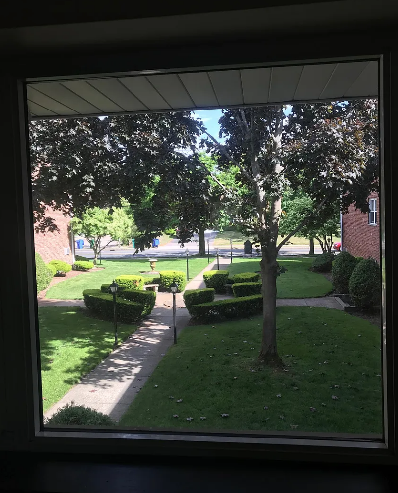 159 Lexington St, Eagle Hill