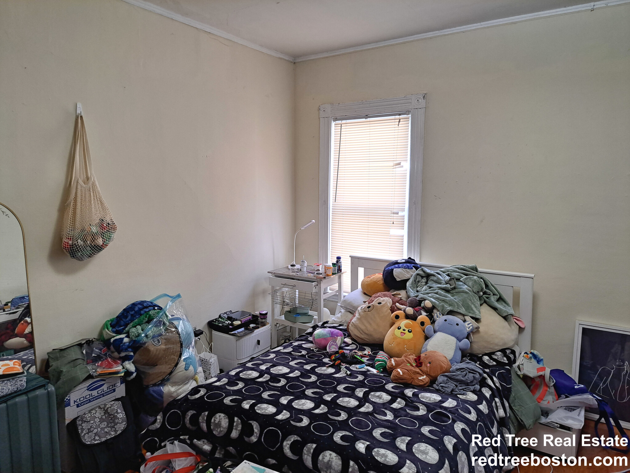 3 Washburn Ter, Brookline Village