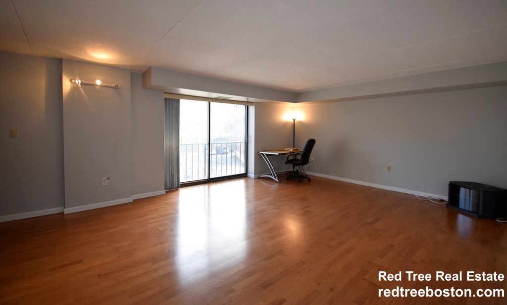 1243 Beacon St, Coolidge Corner South Side