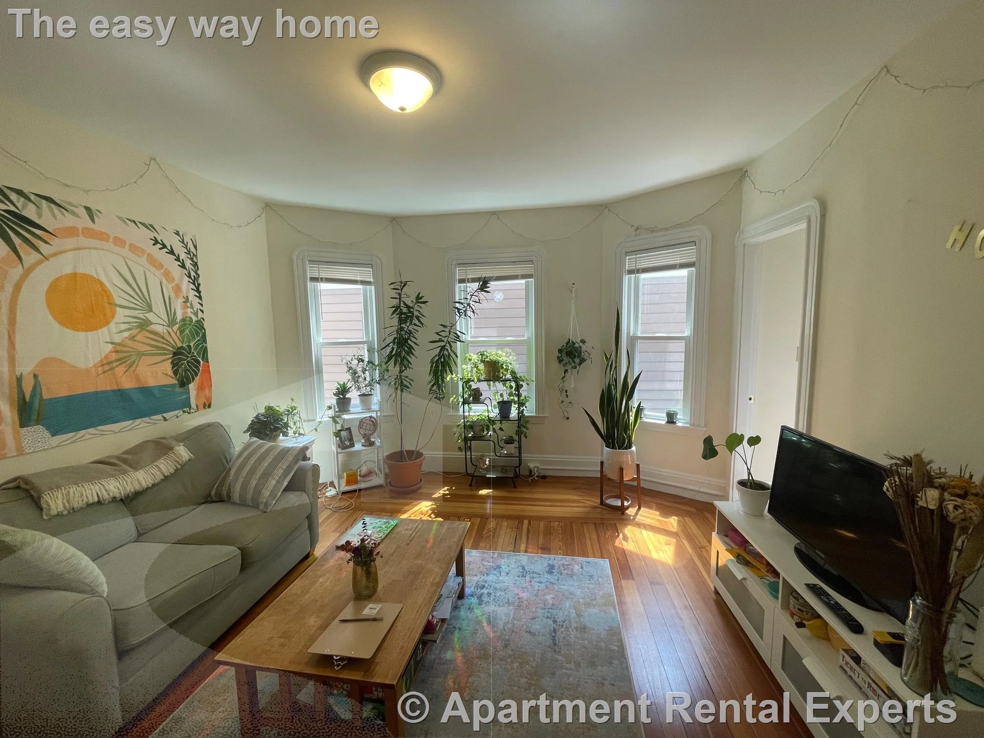 10 Chandler St, Davis Square