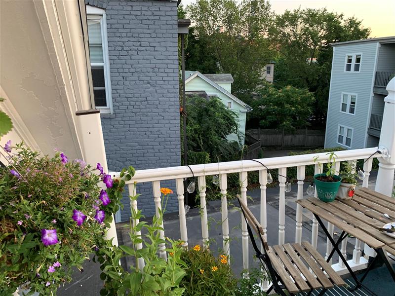 7 Elmer St, Riverside