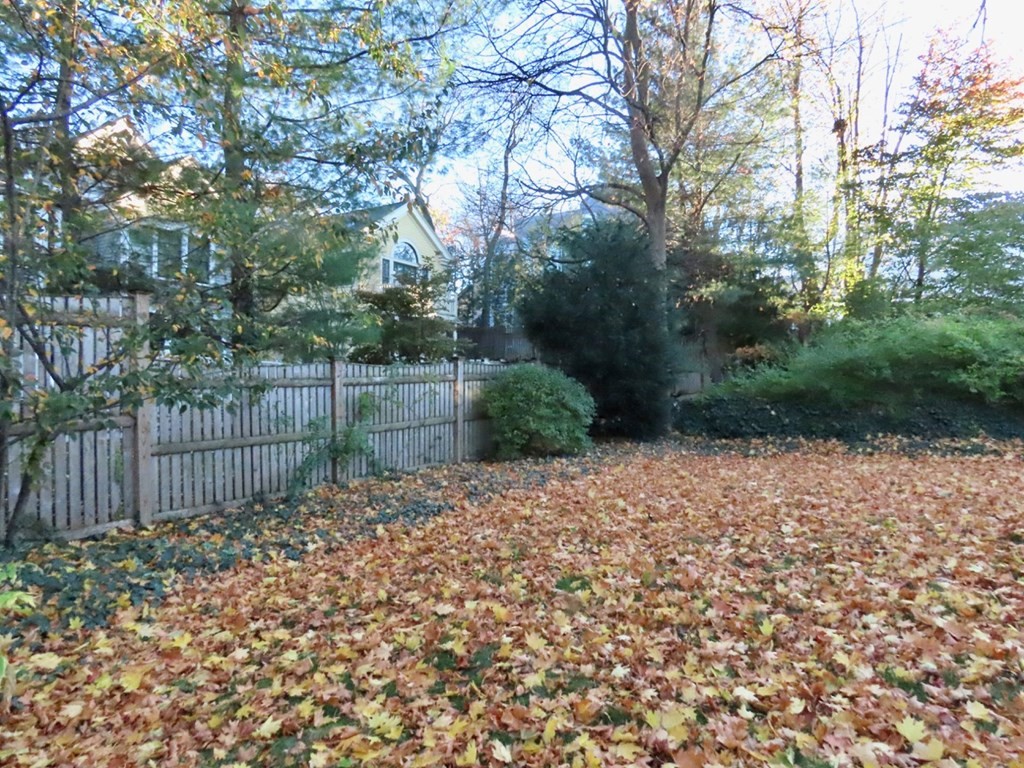 20 Donnell St, Neighborhood 9