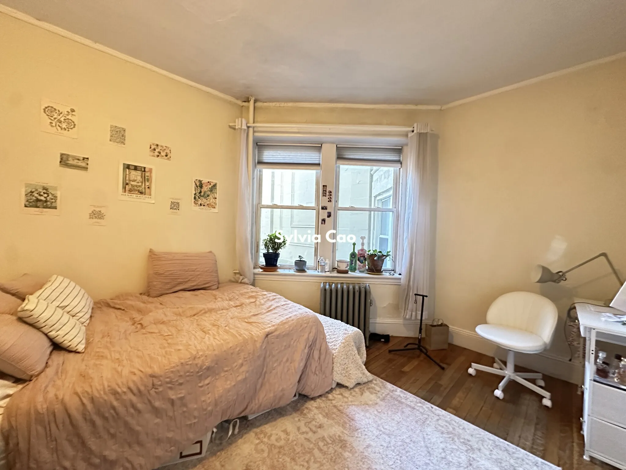 56 Egmont St, North Brookline