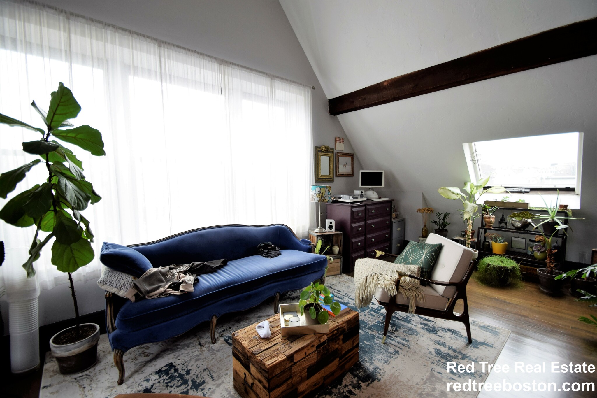 444 Western Ave, Brighton