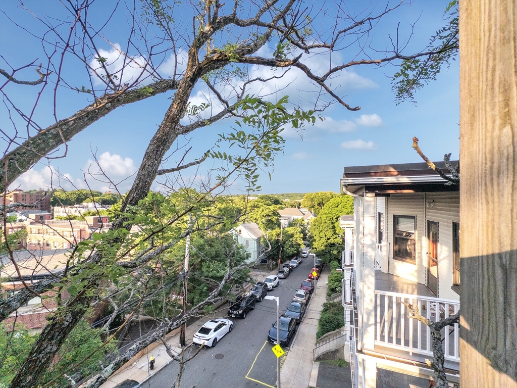 26 St Rose St, Jamaica Plain