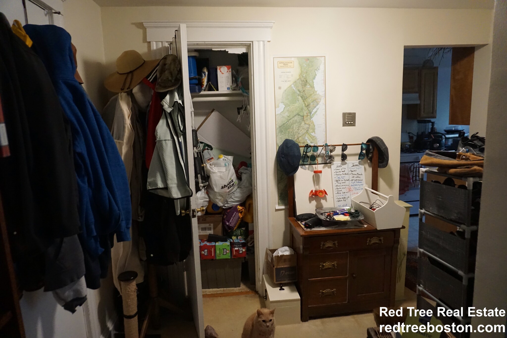 20 Colborne Rd, Brighton