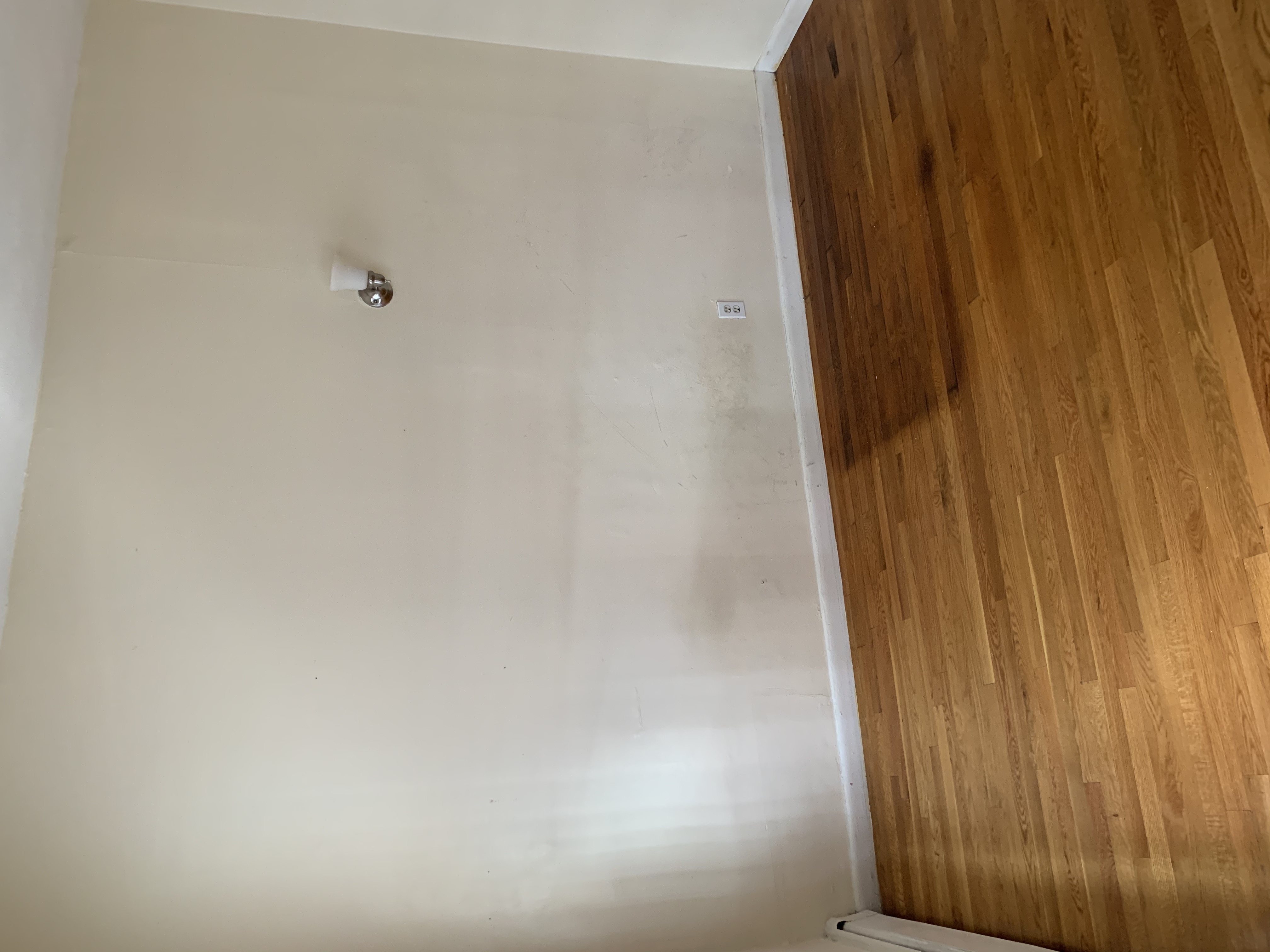Studio bed, 1 bath apartment for rent at 49 South Huntington Ave Unit 203, Mission Hill — photo 3 of 4