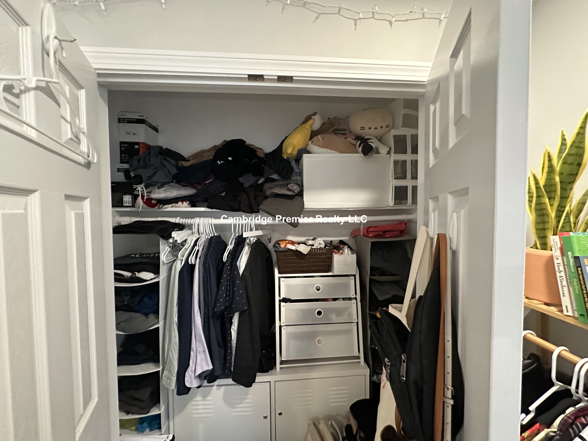 3 bed, 2 bath apartment for rent at 49 Whittemore Ave Unit 1, North Cambridge — photo 3 of 17
