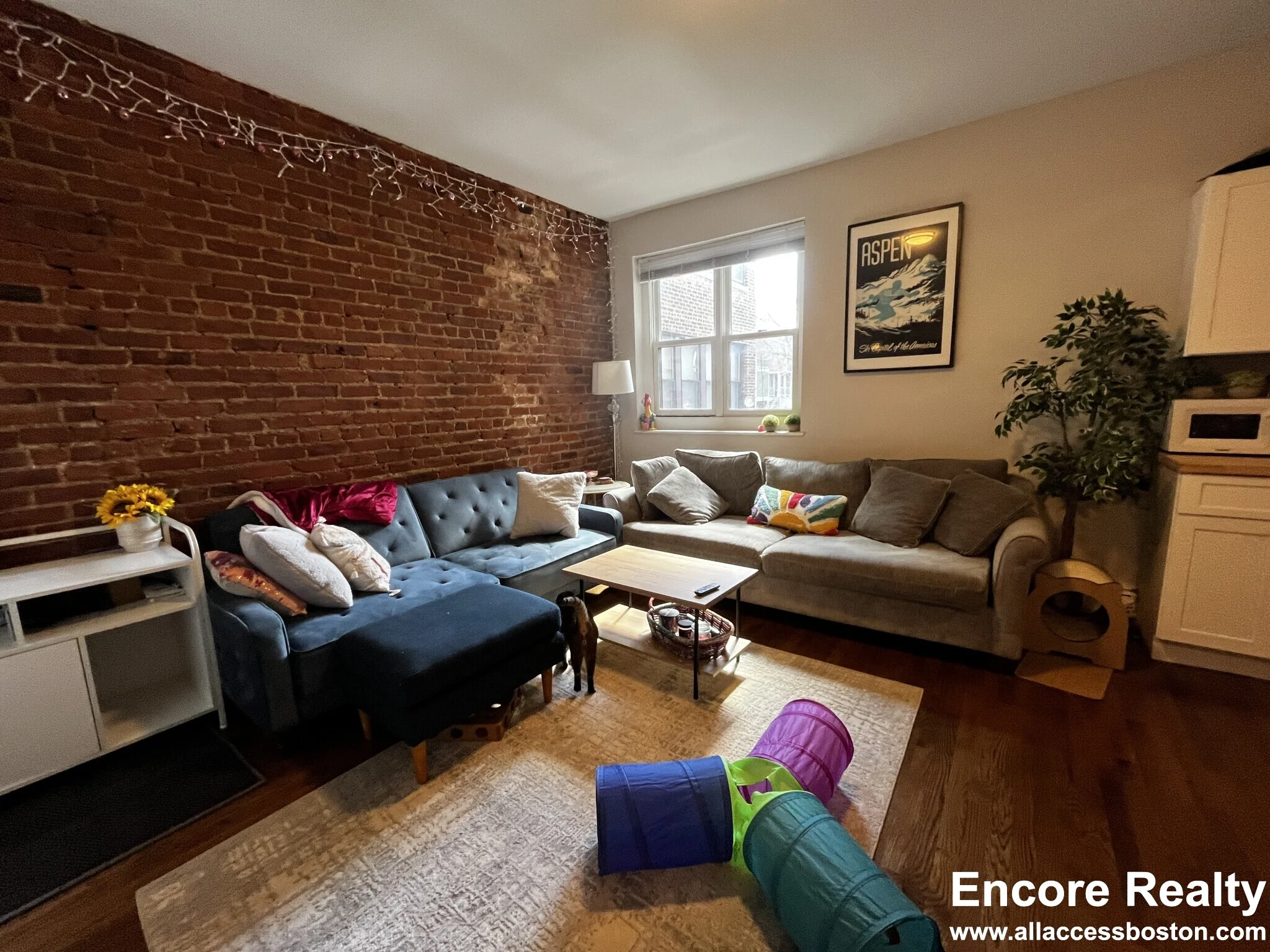 15 Stearns Rd, Coolidge Corner