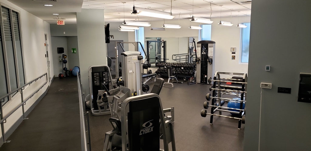 8 Museum Way, East Cambridge