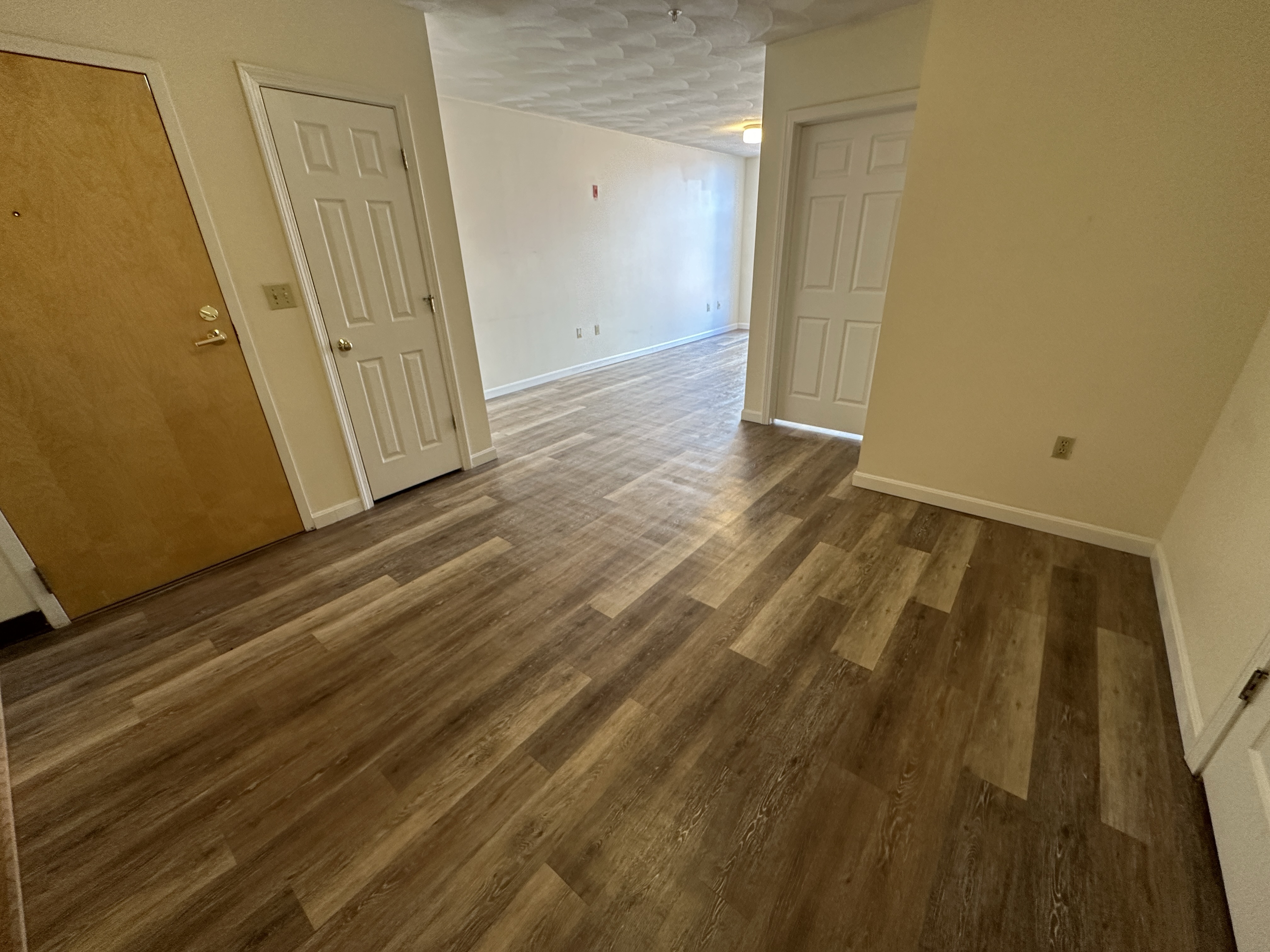 81 Essex St, Chinatown