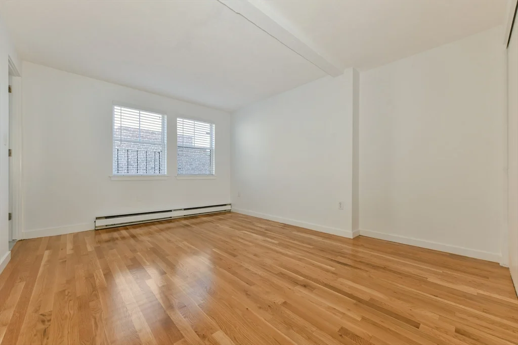101 W Springfield St, South End