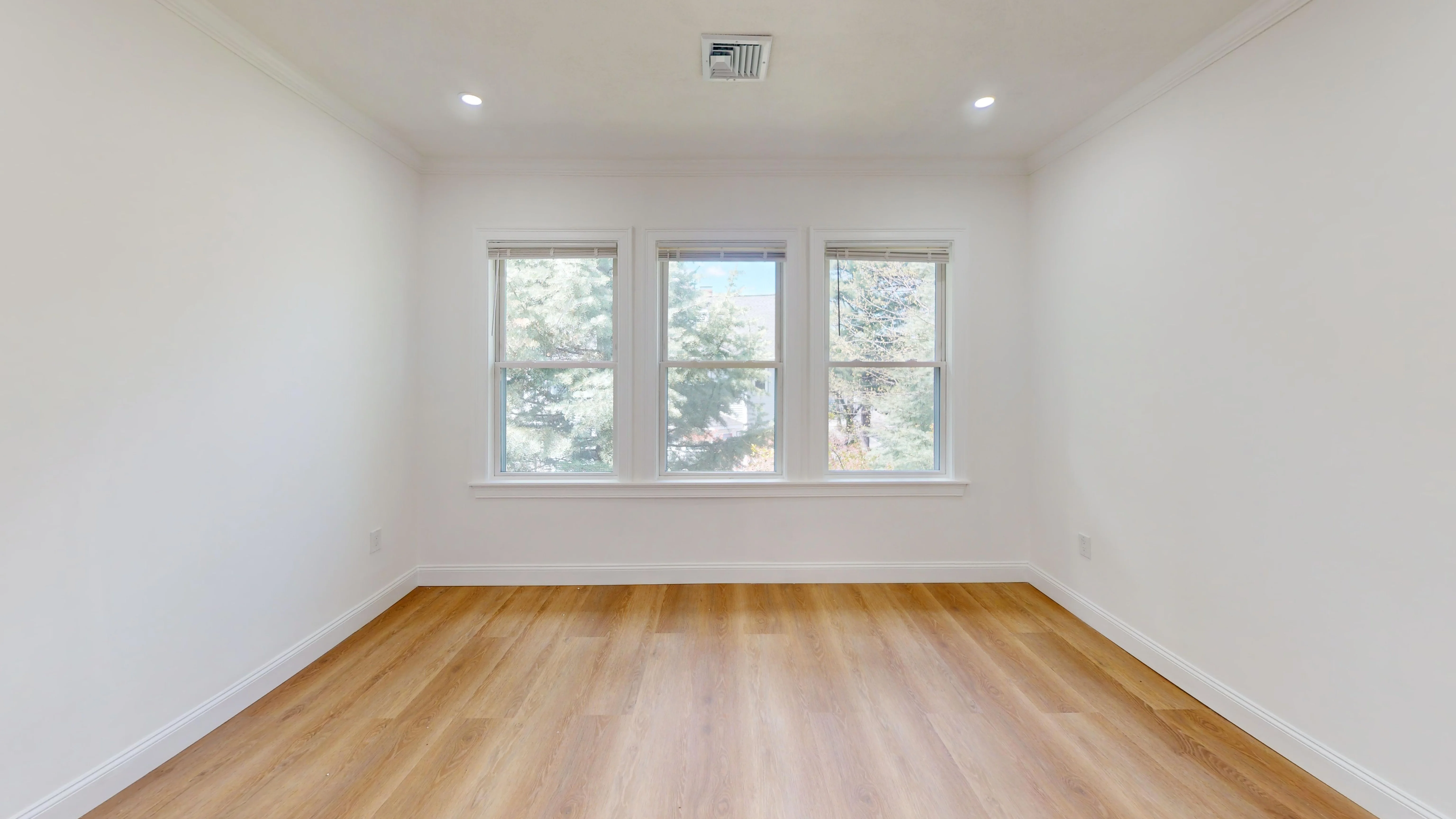 244 Winchester, Coolidge Corner