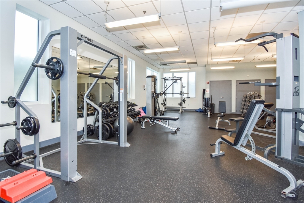 10 Museum Way, East Cambridge