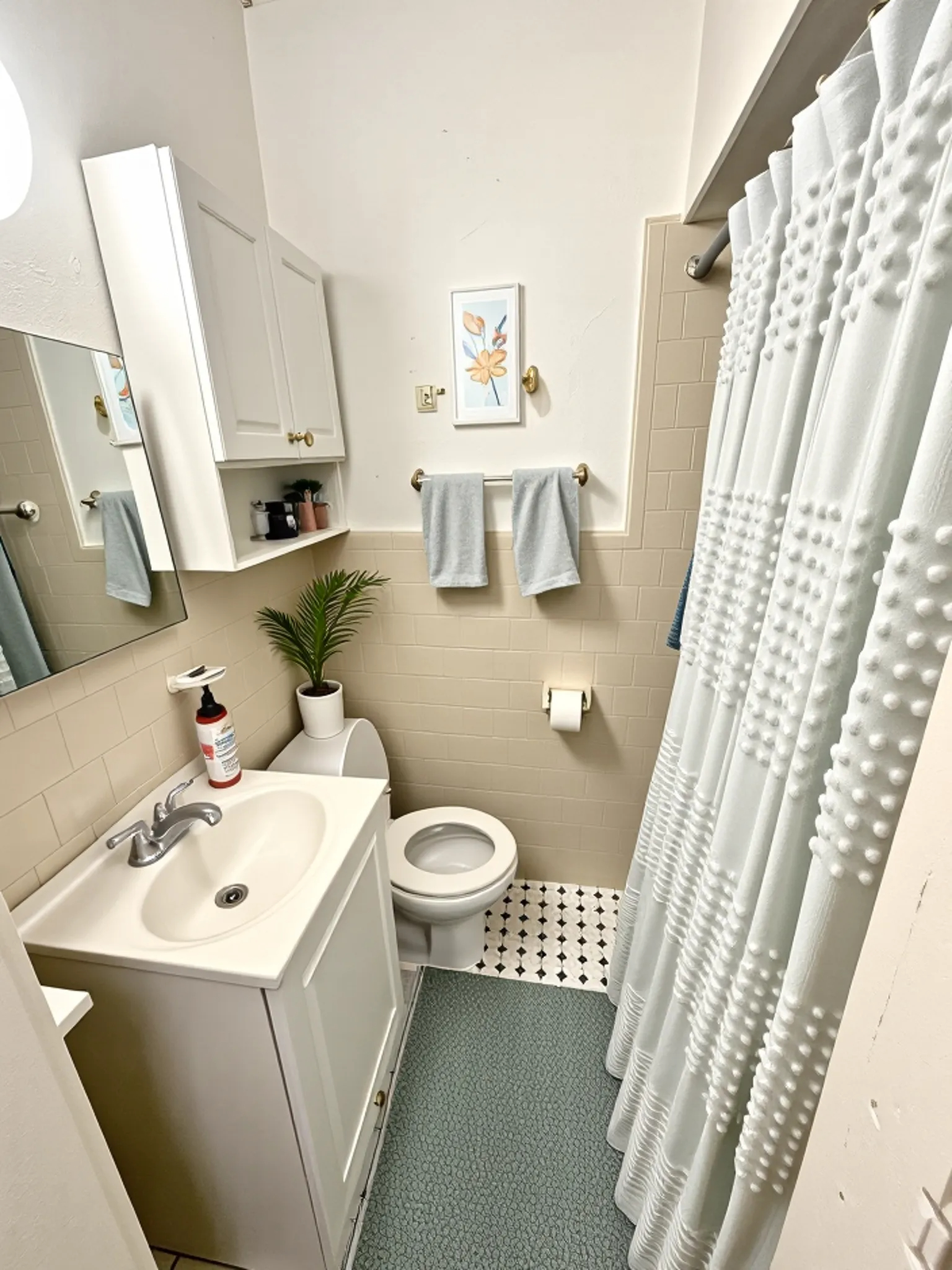 28 Myrtle St, Beacon Hill