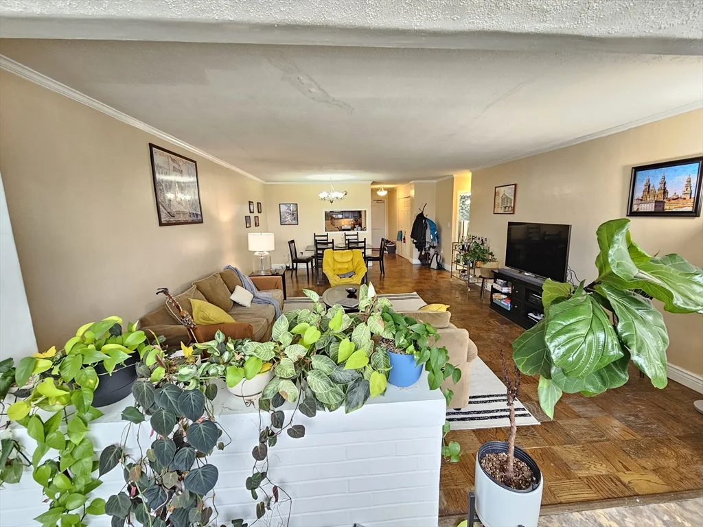 8 Whittier Pl, West End