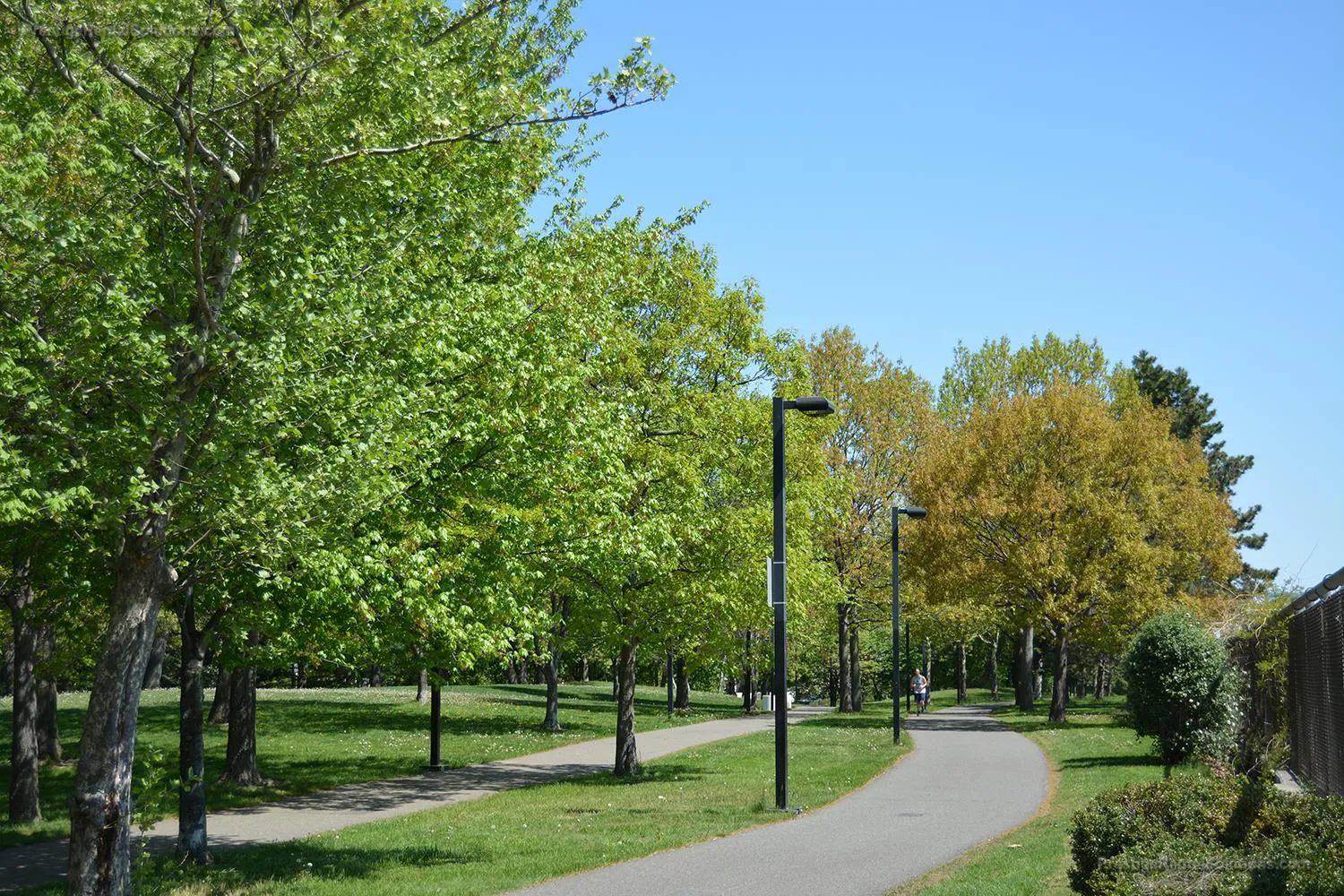 3611 Washington St, Jamaica Plain