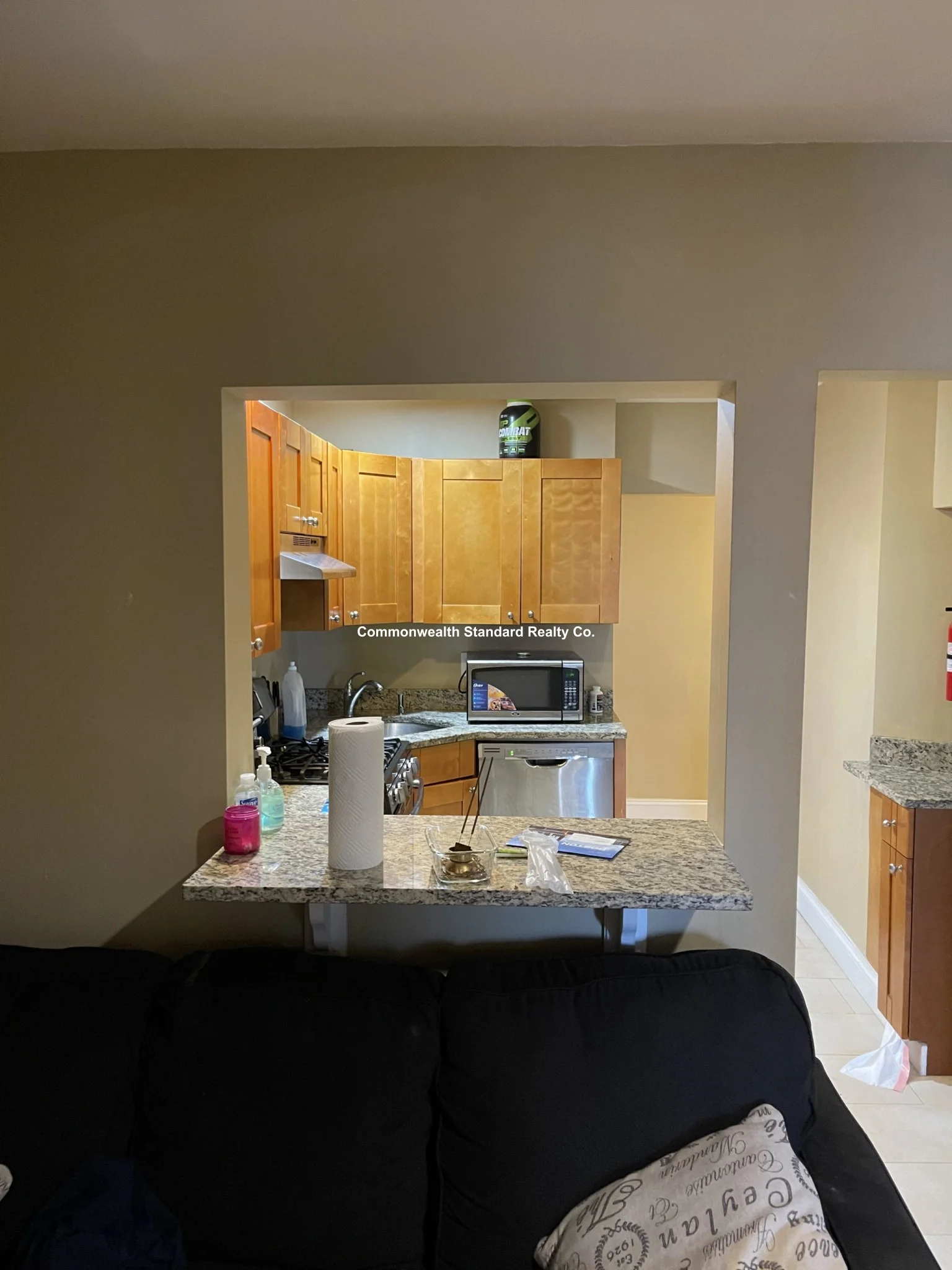 76 Egmont St, North Brookline