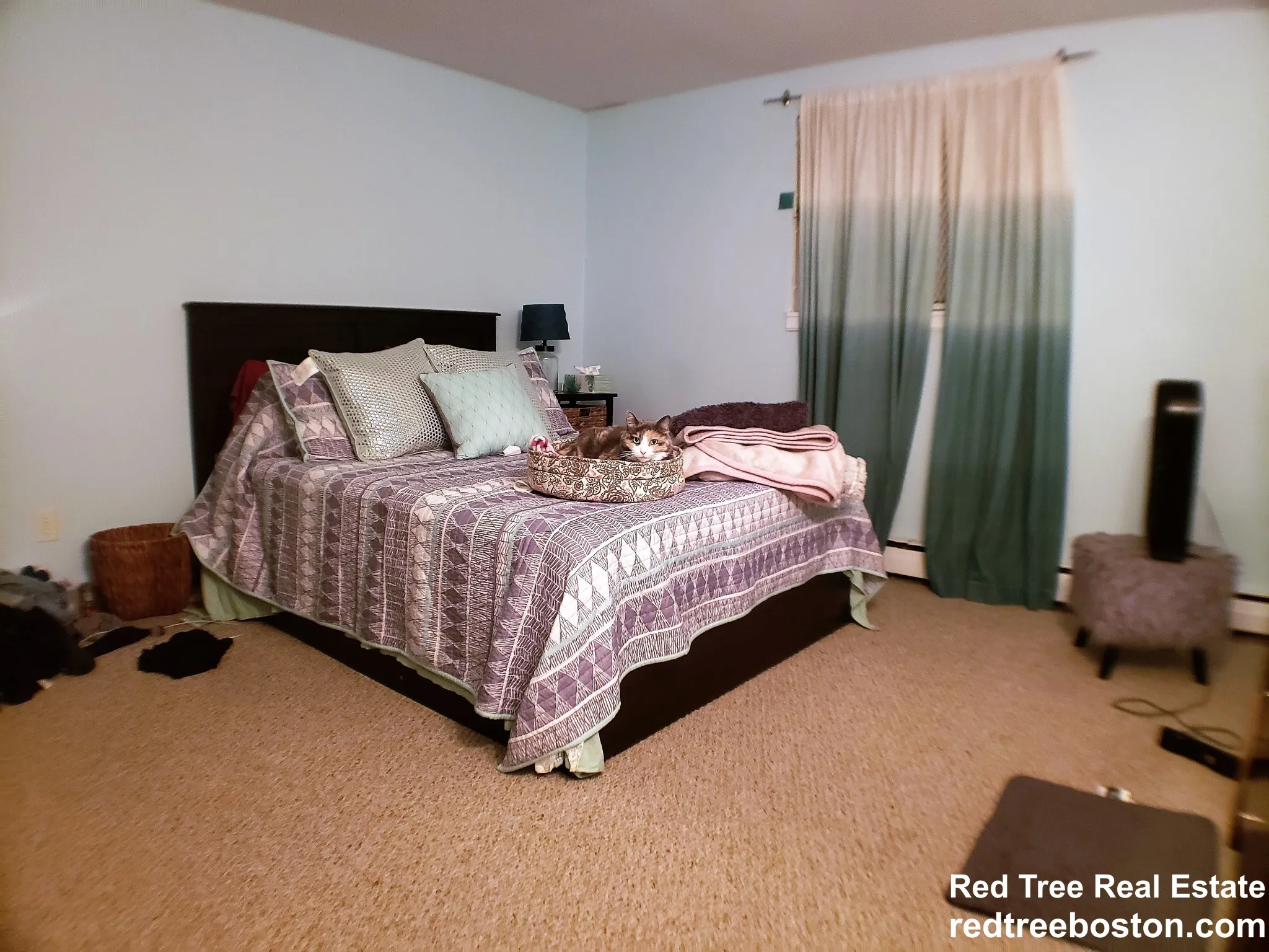 122 Dustin St, Brighton