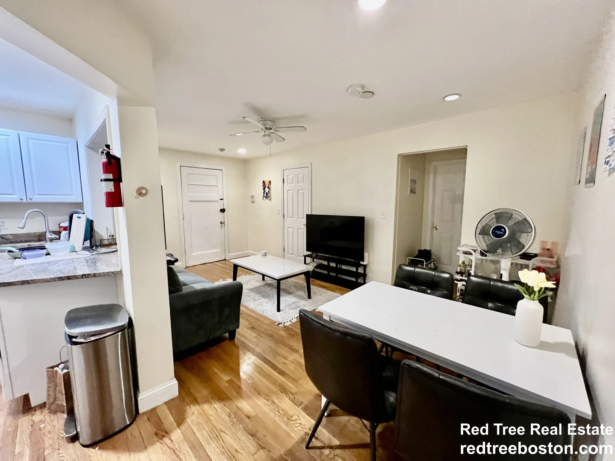 62 Egmont St, North Brookline