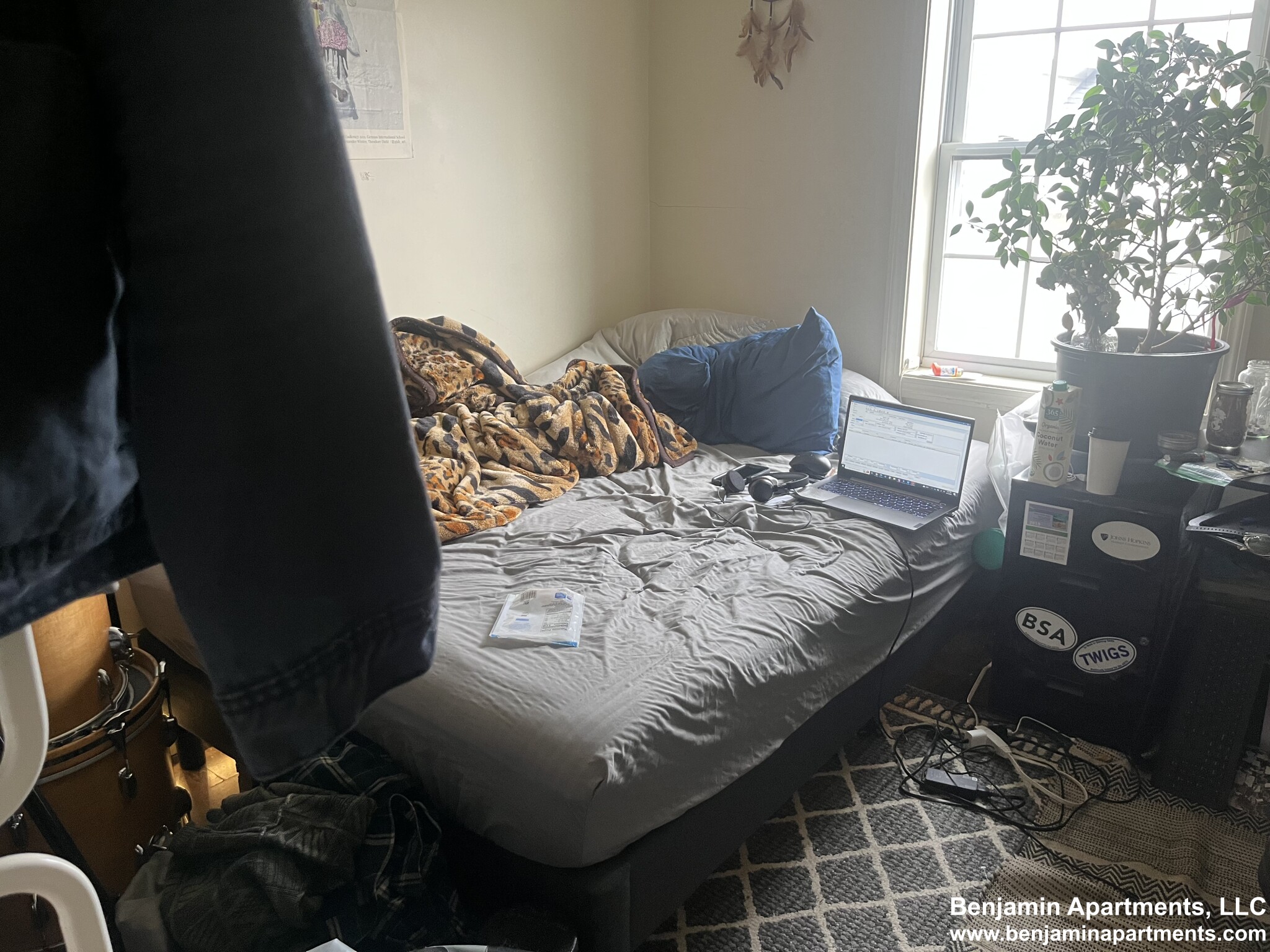 34 Raymond St, Lower Allston