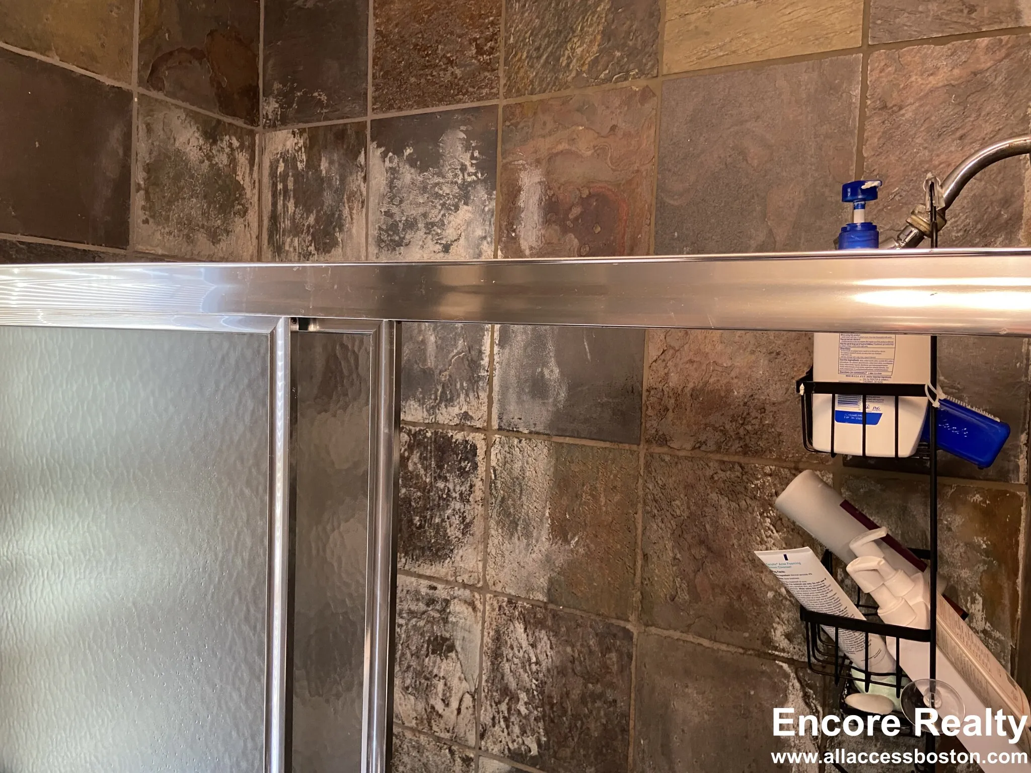 75 Alleghany St, Mission Hill