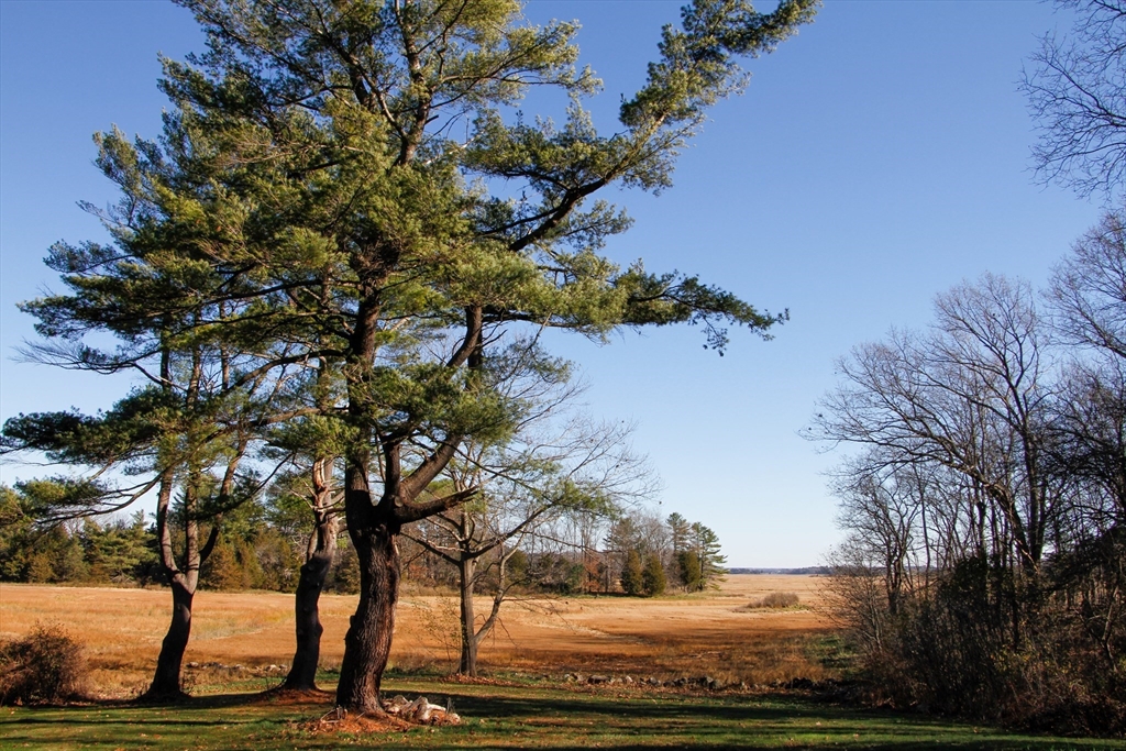 151 Argilla Rd, Ipswich