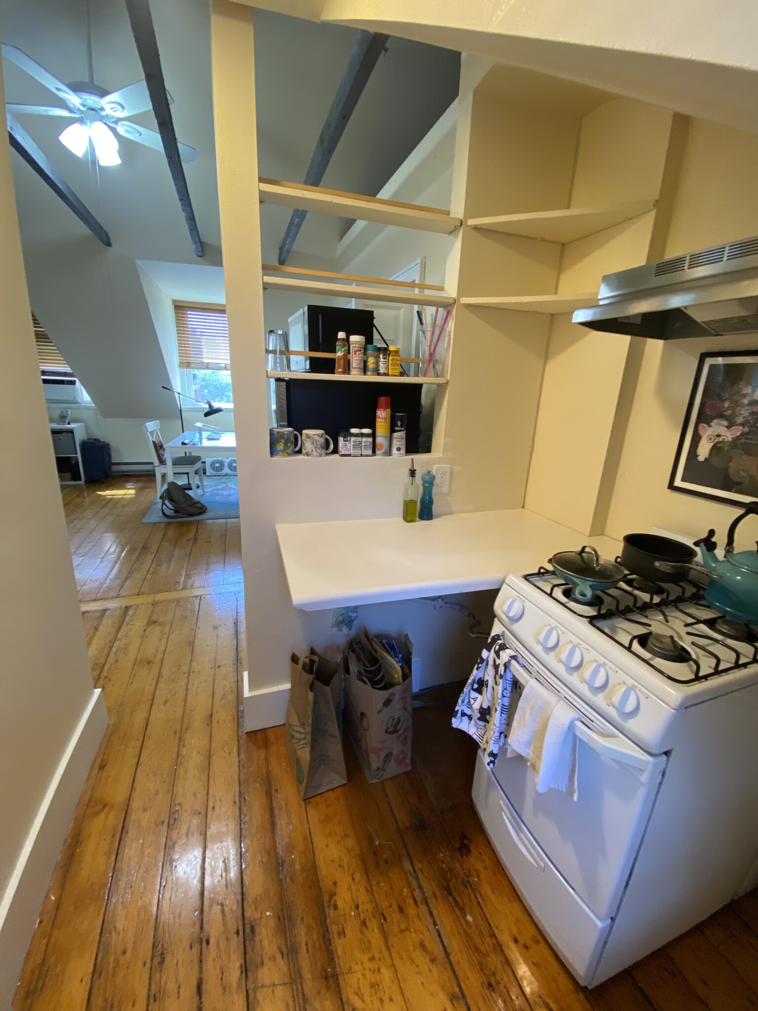 32 Irving St, Beacon Hill