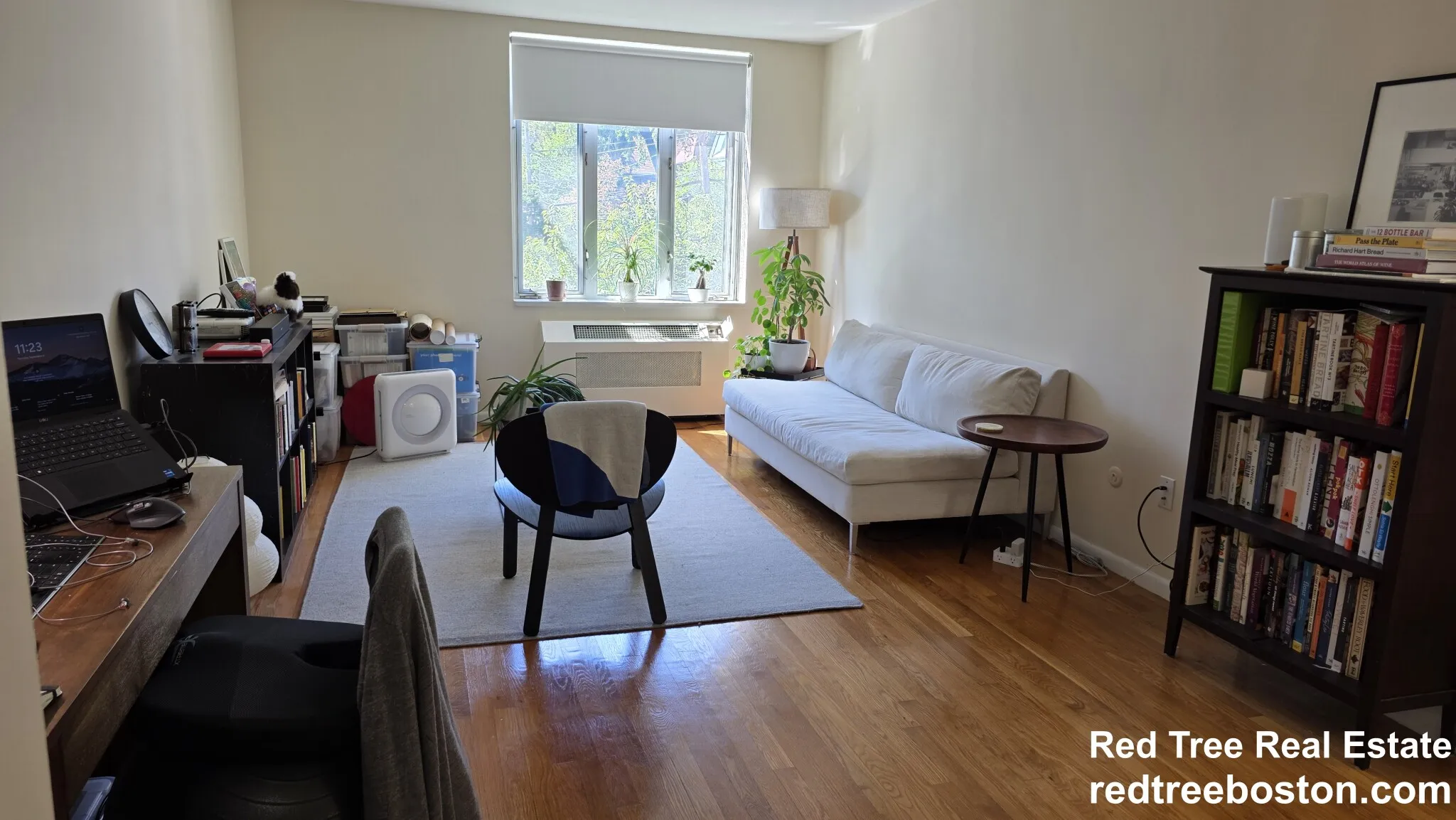 35 Vernon St, Coolidge Corner