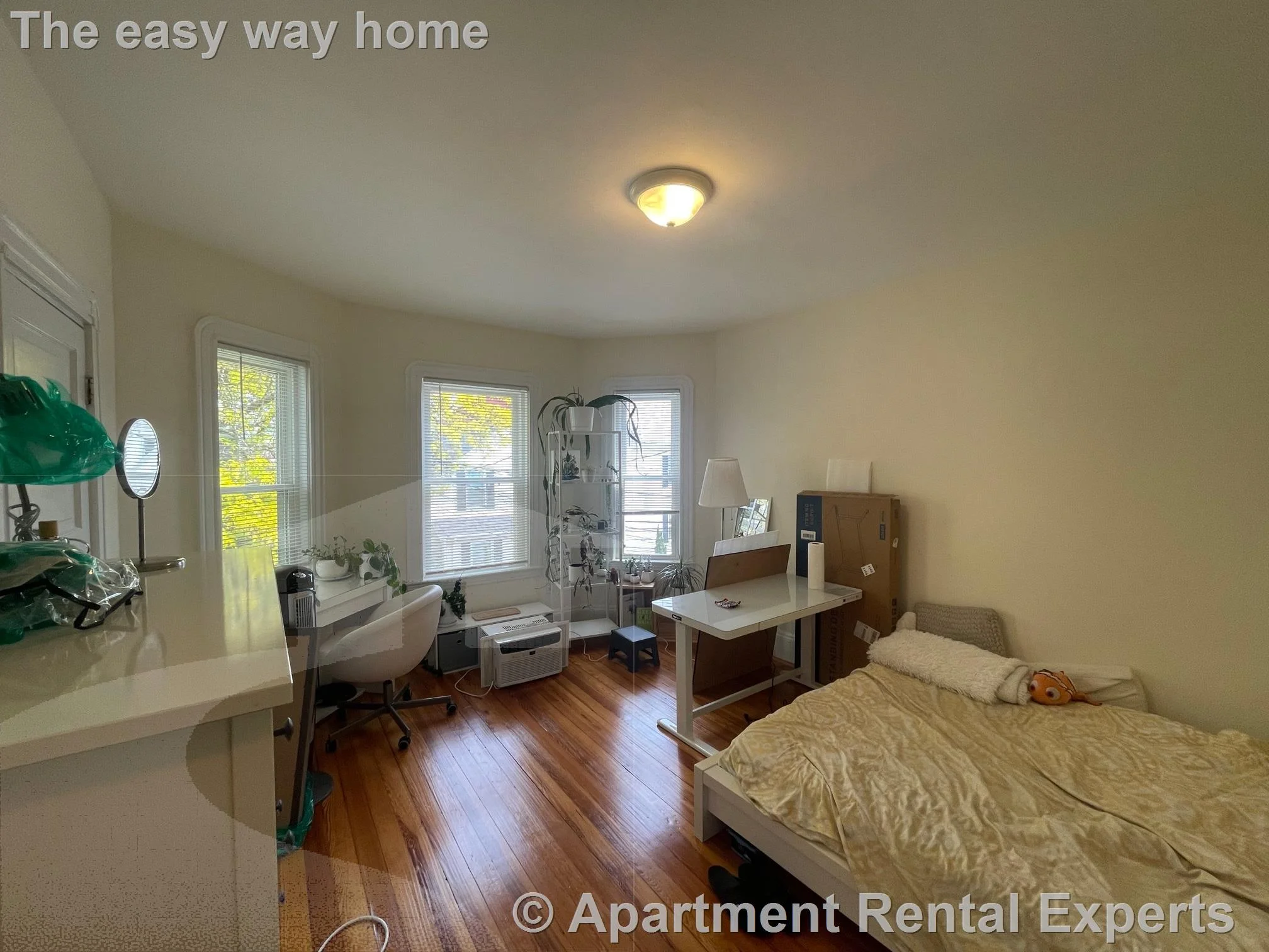 10 Chandler St, Davis Square