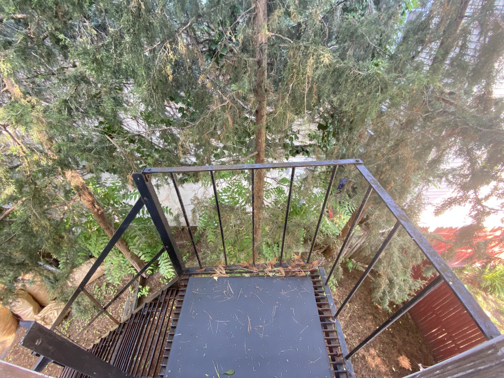 259 Beacon St, Ward Two