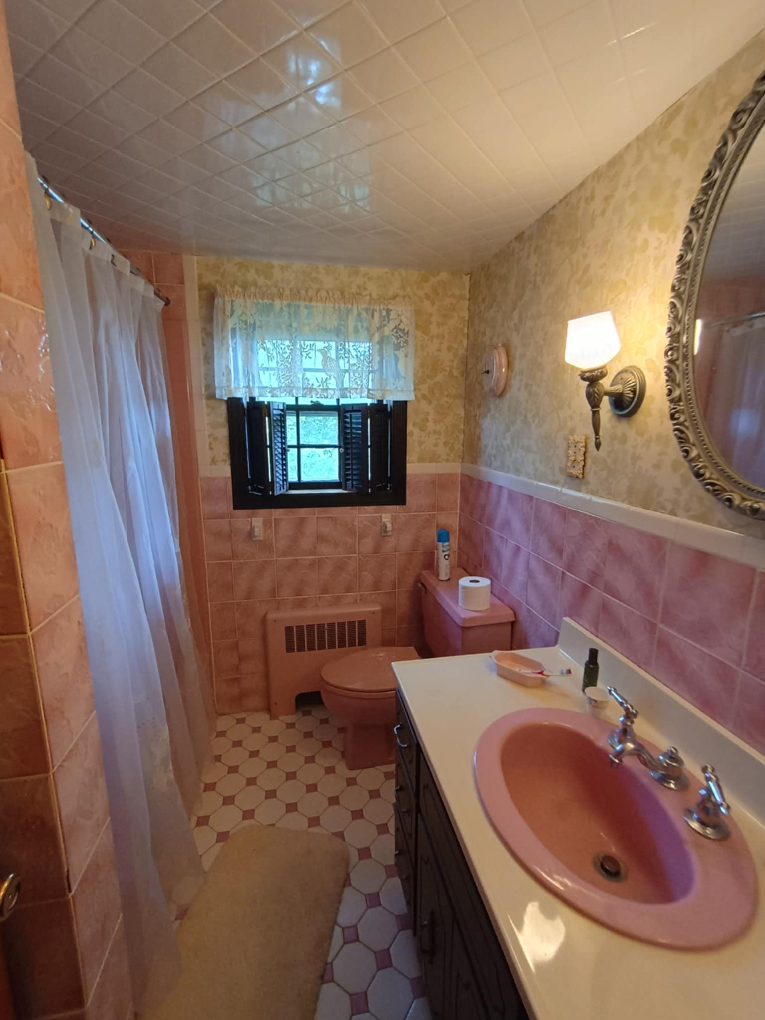 67 Cliffe Ave, Lexington