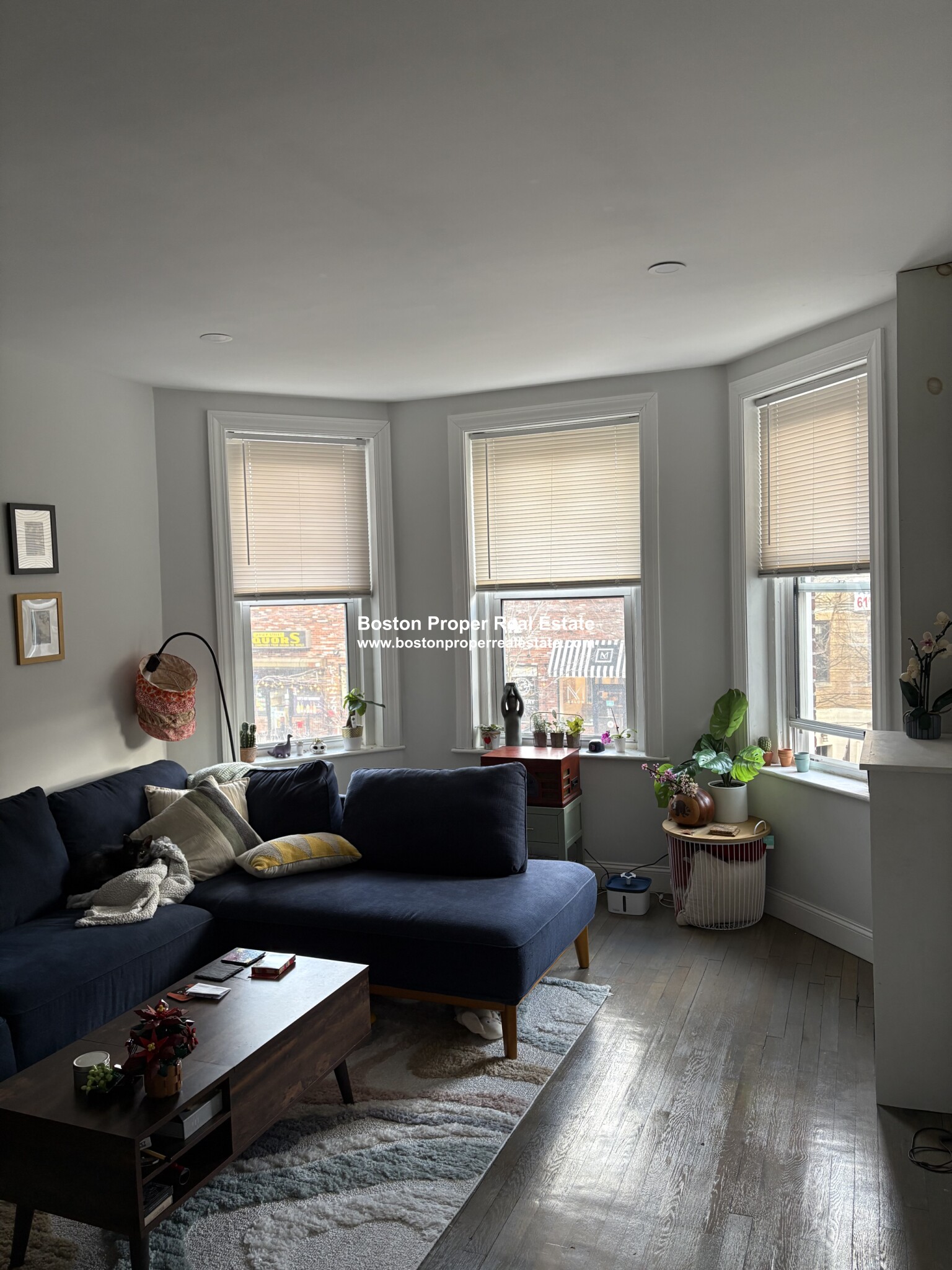 55 Queensberry St, Fenway