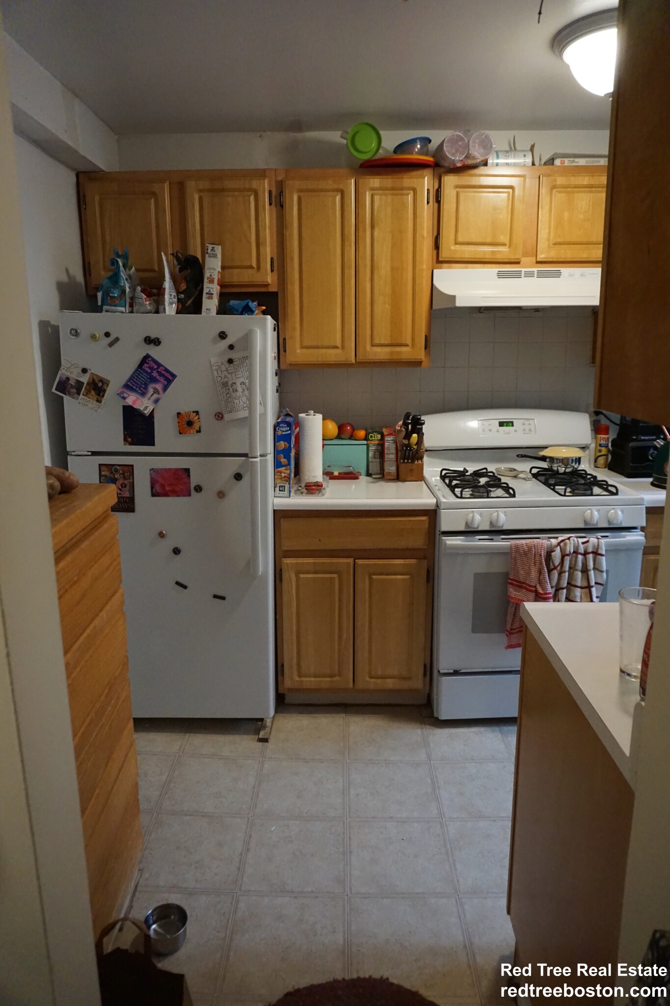 20 Colborne Rd, Brighton