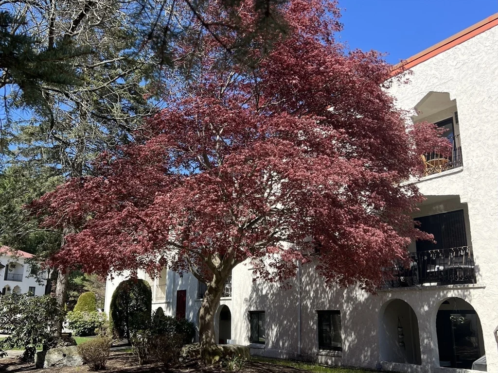 320 Fellsview Ter, Stoneham