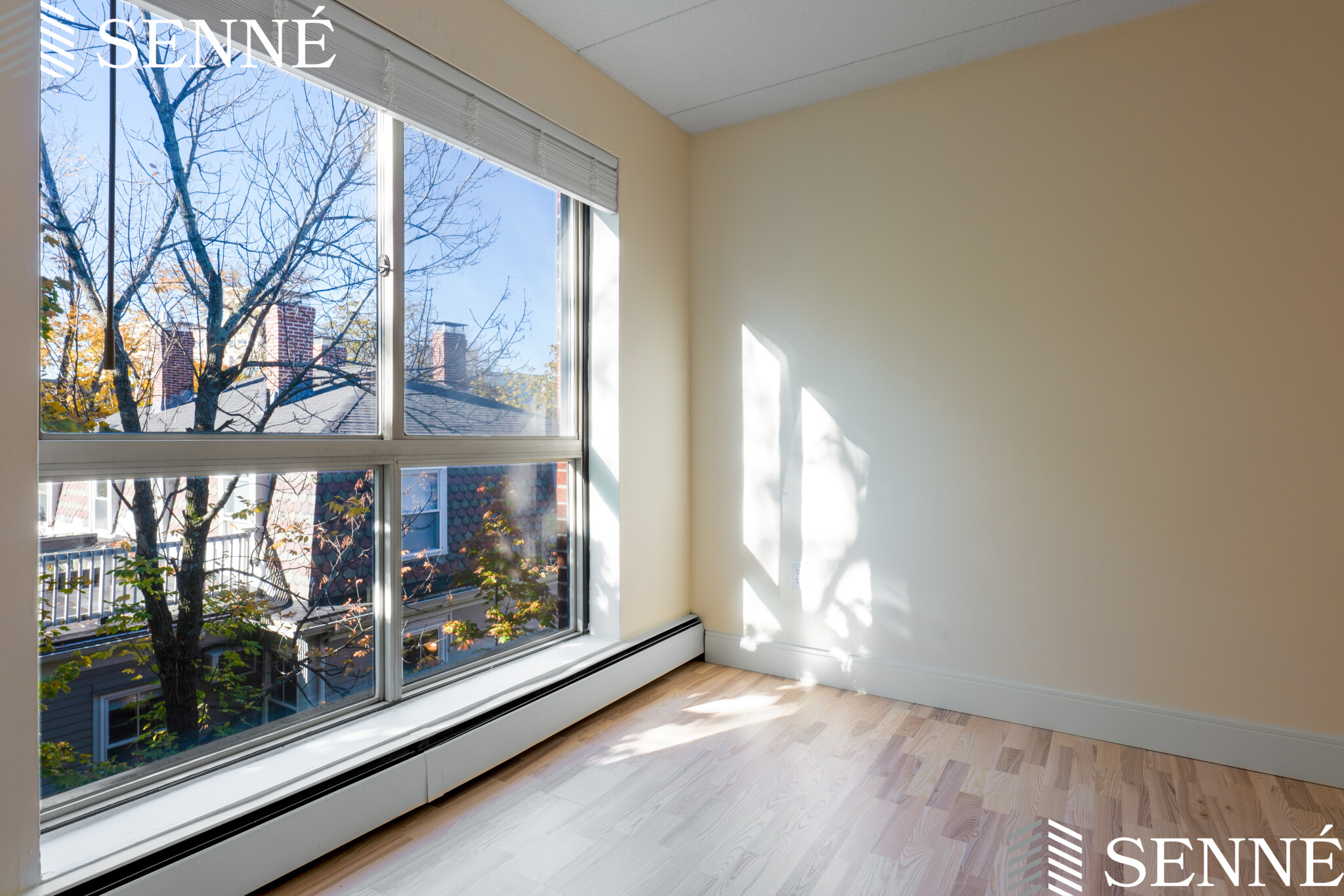 16 Trowbridge St, Harvard Square