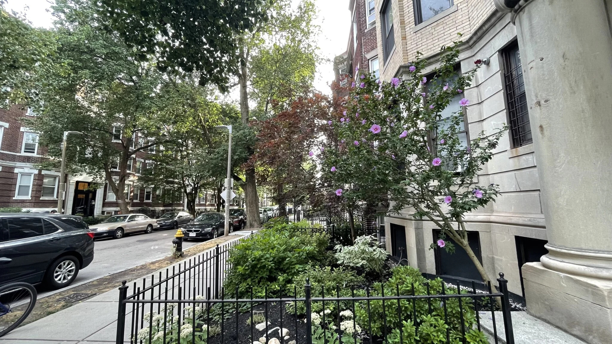 11 Queensberry St, Fenway