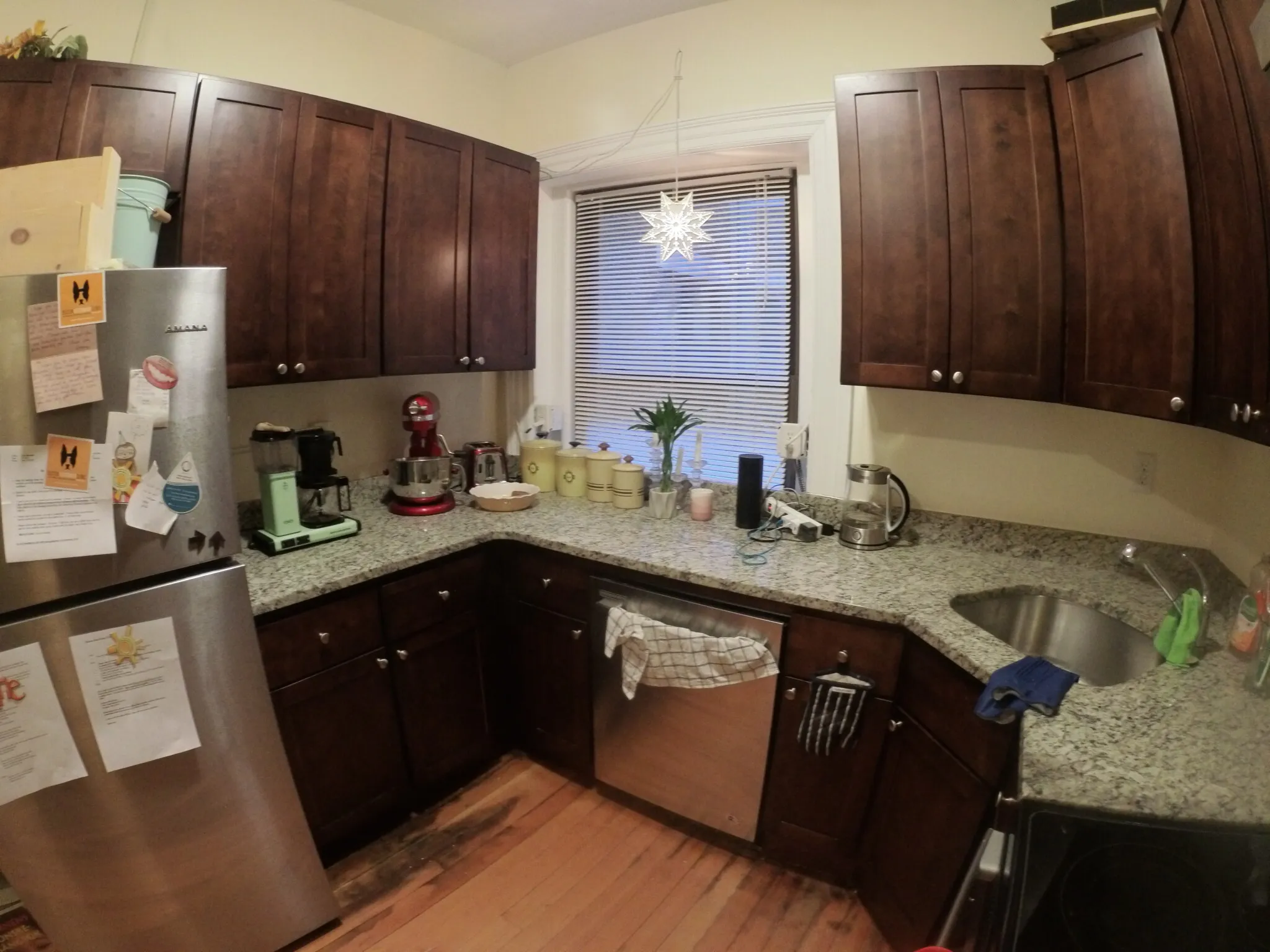 1463 Beacon St, Griggs Park